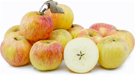 Coxs Orange Pippin Apples Information Recipes And Facts