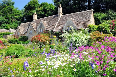 5 Stunning Cottage Garden Plant Ideas Uk