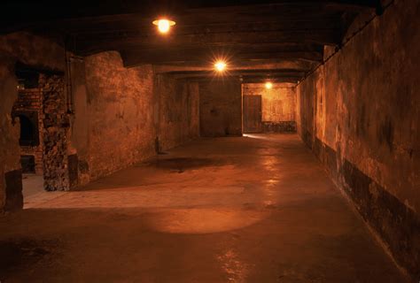 .chambers—initially to the gas chamber in crematorium i and bunkers 1 and 2, and, from the spring of 1943, to the gas chambers in crematoria ii, iii after they were killed, sonderkommando prisoners dragged the corpses out of the gas chambers. gas-chamber-at-auschwitz - Holocaust Concentration Camps ...
