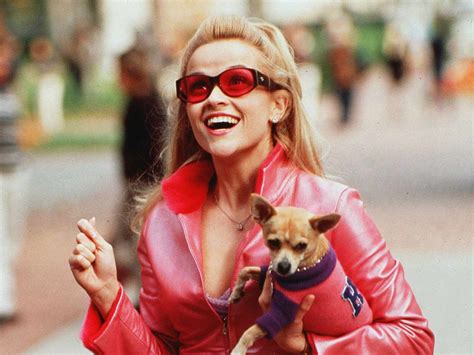 Legally Blonde 3 Everything To Know