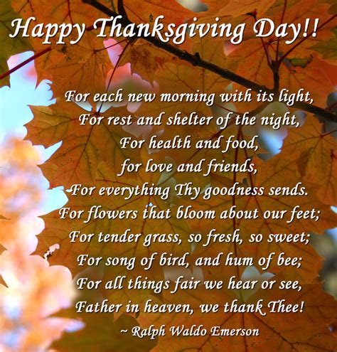 It's a holiday tradition and a wonderful one at that. Happy Thanksgiving Day Quote Pictures, Photos, and Images for Facebook, Tumblr, Pinterest, and ...