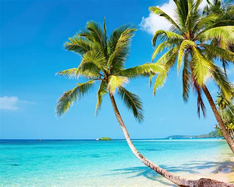Free download Tropical beach 4K Ultra HD wallpaper 4k WallpaperNet ...