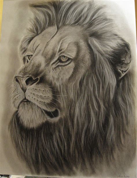 Amazon art houses the finest in art drawings in mediums such as pencil, charcoal, and more. 19+ Lion Drawing, Art Ideas, Sketches | Design Trends ...