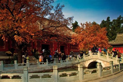 Beijing Autumn Tours Tings To Do In Beijing Autumn