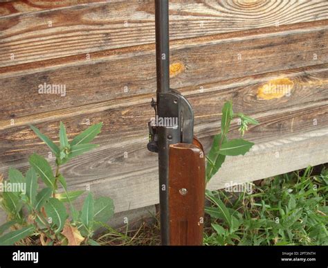 Folding Air Rifle For Firing The Bullets Stock Photo Alamy