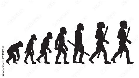 Human Evolution Human Evolution Chart Human Evolution Definition