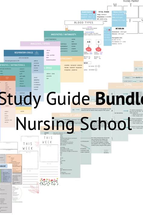 The Complete Nursing School Bundle 200 Pages Digital Etsy Nursing