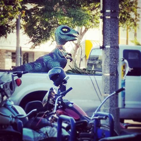 Philosoraptor Spotting Looks Like The Motorcycle Scene In Jurassic