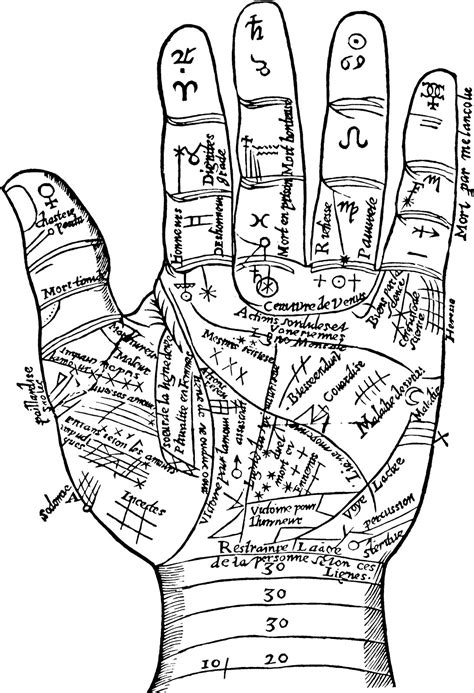 Vintage Palm Reading Palmistry Hand Map Statuette Ubicaciondepersonas