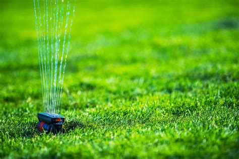 May 30, 2019 · how to grow greener grass magic bullet # 1. How Can I Make My Grass Thicker And Greener? - Turf Rain