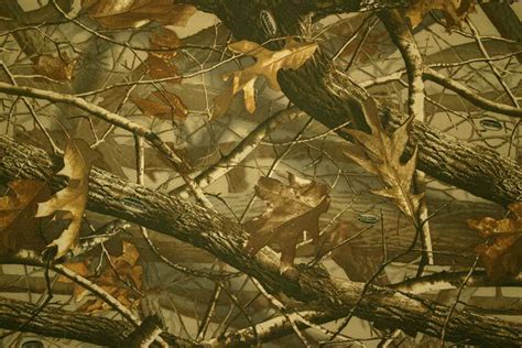 This roommates peel and stick border is easy to apply and remove. Free Realtree Camo Cliparts, Download Free Clip Art, Free ...