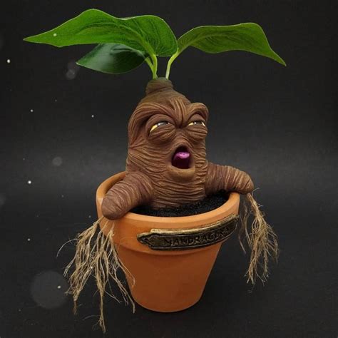Mandrake In Pot Screaming Mandrake Crying Mandrake Harry Etsy