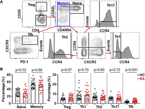 Frontiers Signal Transducer And Activator Of Transcription 3