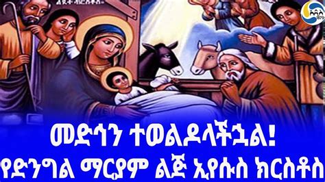 Ethiopia ታሪክ የድንግል ማርያም ልጅ ኢየሱስ ክርስቶስ Ethiopian Orthodox አዲስ አበባ