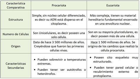Cuadro Comparativo De Las Diferencias Entre Celula Eucariota Y