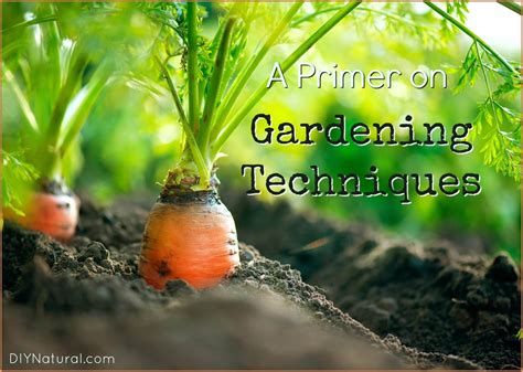 List Of Gardening Techniques To Help New Gardeners Gardening