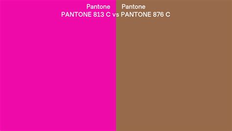 Pantone 813 C Vs Pantone 876 C Side By Side Comparison