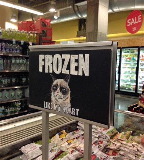 When Grumpy Cat Showed Up In The Frozen Foods Aisle The 18 Most