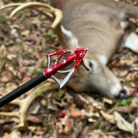 Silver Flame Double Bevel Broadheads Overkill Broadheads Shop The