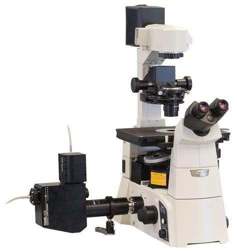 Confocal Microscopy Advantagesdisadvantagesapplication