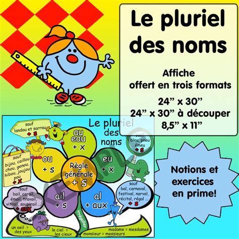 Le Pluriel Des Noms Exercices Affiche