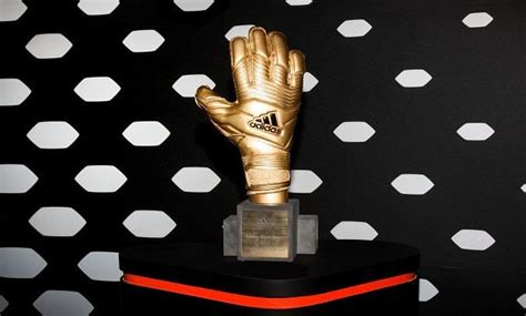 Fifa World Cup 2014 Golden Glove Award Contenders