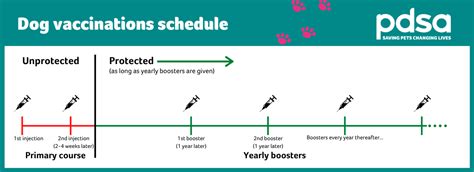 Dog Vaccines - PDSA