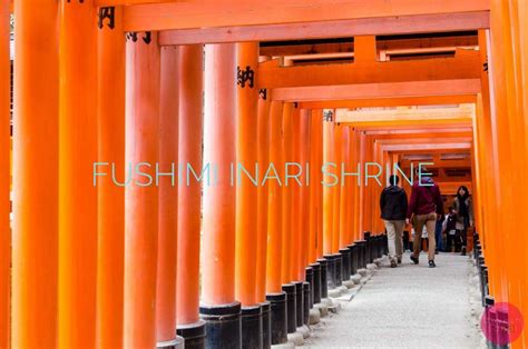 As i walk from the fushimi inari shrine to the top of the 233 meters high mount inari, i struggle to make sense of what i am seeing. Fushimi Inari Shrine, Kyoto, Japan | Drone & DSLR Travel Blog