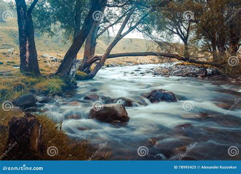 Mountain River Flowing Among Mossy Stones Through The Colorful Forest