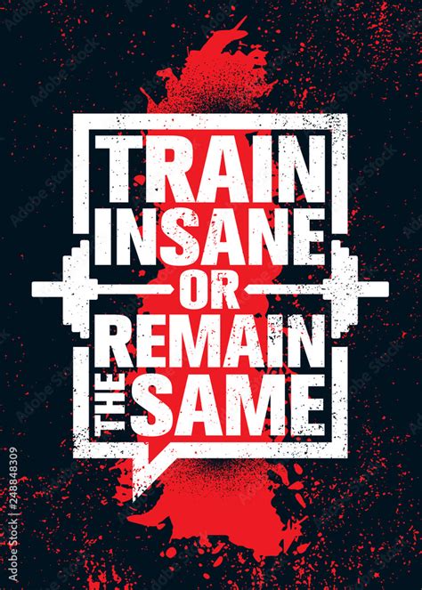 Train Insane Or Remain The Same Inspiring Workout And Fitness Gym