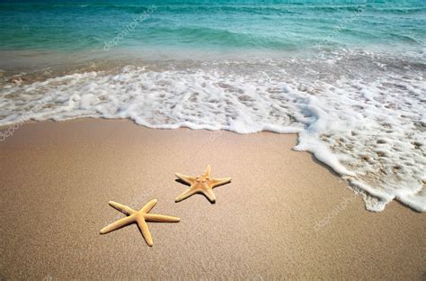 Two Starfish On A Beach — Stock Photo © Tihon6 1947981