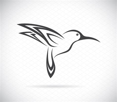Vector Of Hummingbird Design Birds Outline Icons Creative Market
