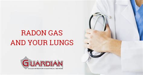 The most common primary lung tumour in cats is pulmonary adenocarcinoma, which can arise from the bronchus (the tubes that carry air into the lungs) or from the alveolae (the air sacs). What Does Radon Exposure Do to Your Lungs - Guardian Radon