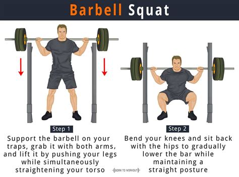 Barbell Squat How To Do Proper Form Variations