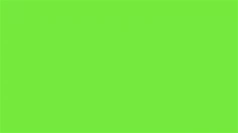 🔥 46 Lime Green Wallpaper Wallpapersafari