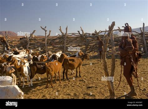 Namibia Skeleton Coast Himba Tribe In Dailing Activities Stock Photo