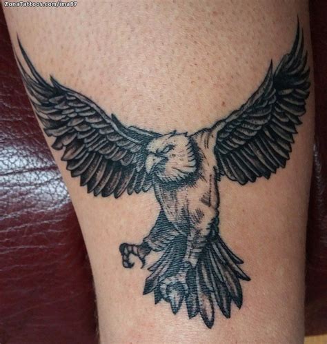 Tatuaje De Águilas Aves Animales Tatuajes Aguilas