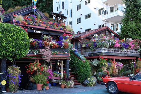 Seattle Daily Photo Alki Beach Flower Houses