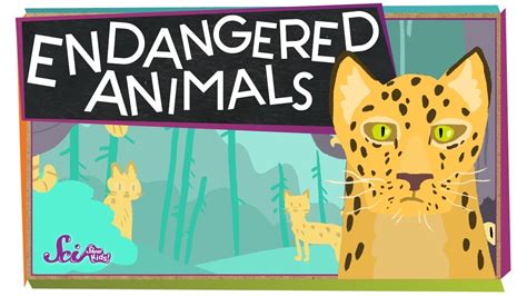 Endangered Animals Protect Them Lessons Blendspace