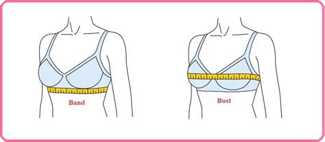 Bra Size In Bangladesh With Chart List And Measurement