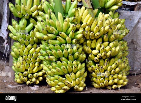 Fruit Stall Banana Hi Res Stock Photography And Images Alamy