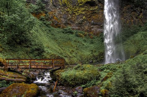 Images Elowah Falls Columbia River Gorge Oregon Brook Nature