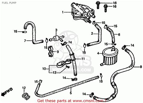50cc 150cc moped gy6 wire diagram. 91 Yamaha 49cc Riva Scooter Wiring Diagram