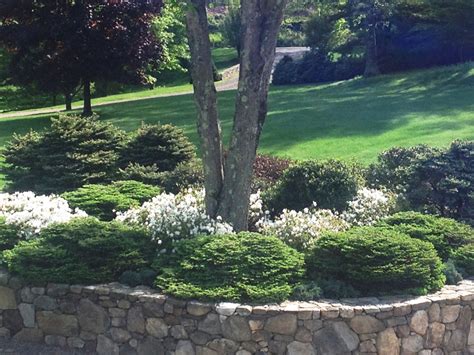 Landscaping And Lawn Care All Seasons Maintenance Ct
