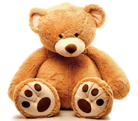 Grosse Peluche De 50 Cm Giant Teddy Bear Teddy Bear Clothes My