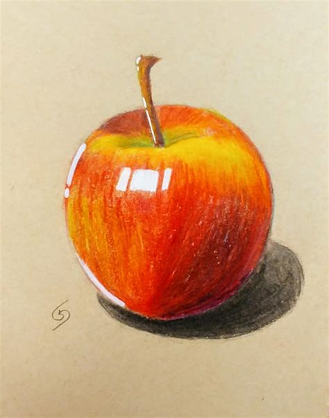 Realistic Apple Drawing By Giorgio Barresi On Deviantart