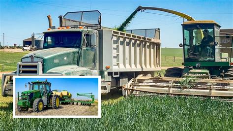 Chopping Triticale Jd 5830 W Direct Head Youtube