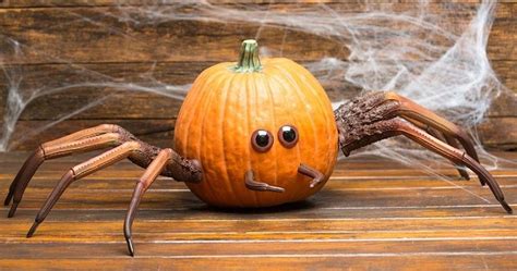 Easy Spider Pumpkin Carving