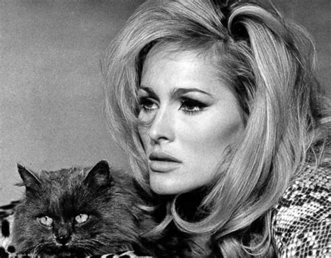 Ursula Andress Sex Symbol Vintage Hollywood Image Search Actresses