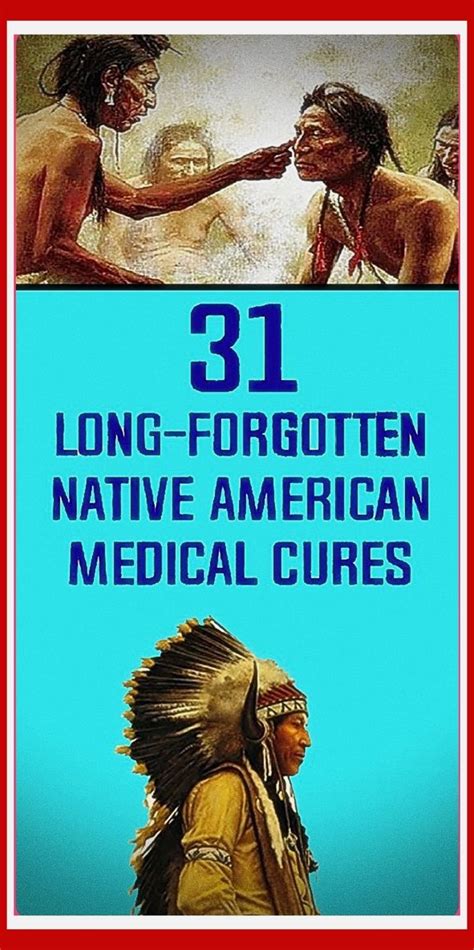 31 long forgotten native american herbal remedies solution for healthy native american